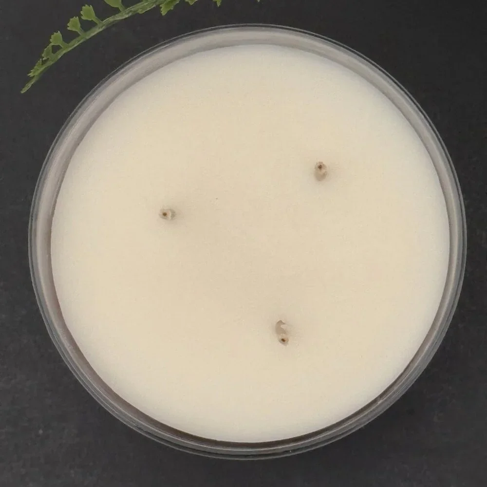 BBW Lavender Vanilla White Barn Bath & Body Works 3 Wick Candle - Picture 7 of 10